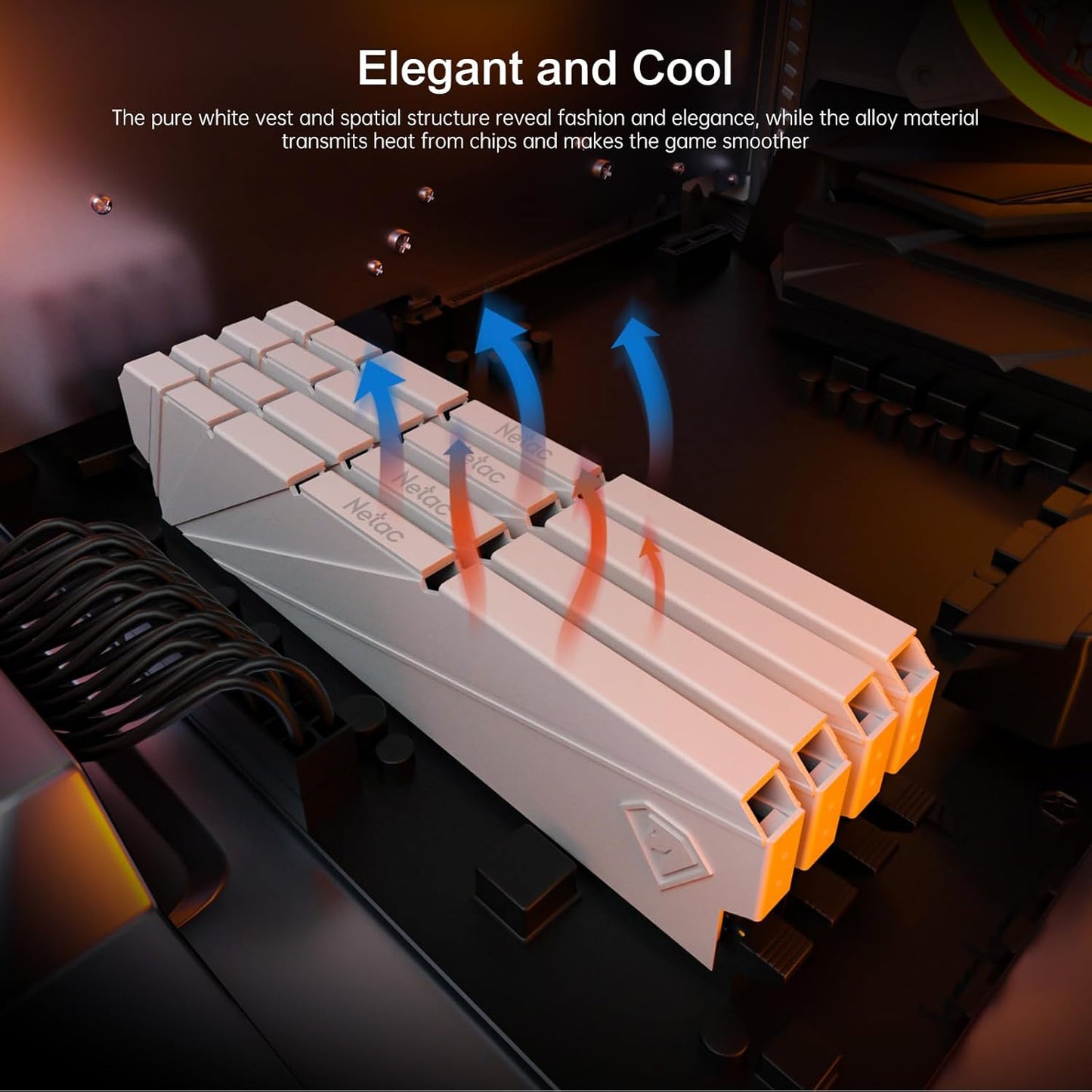 Netac Shadow S 32GB (16GBx2) 3200MHz DDR4 RAM Kit