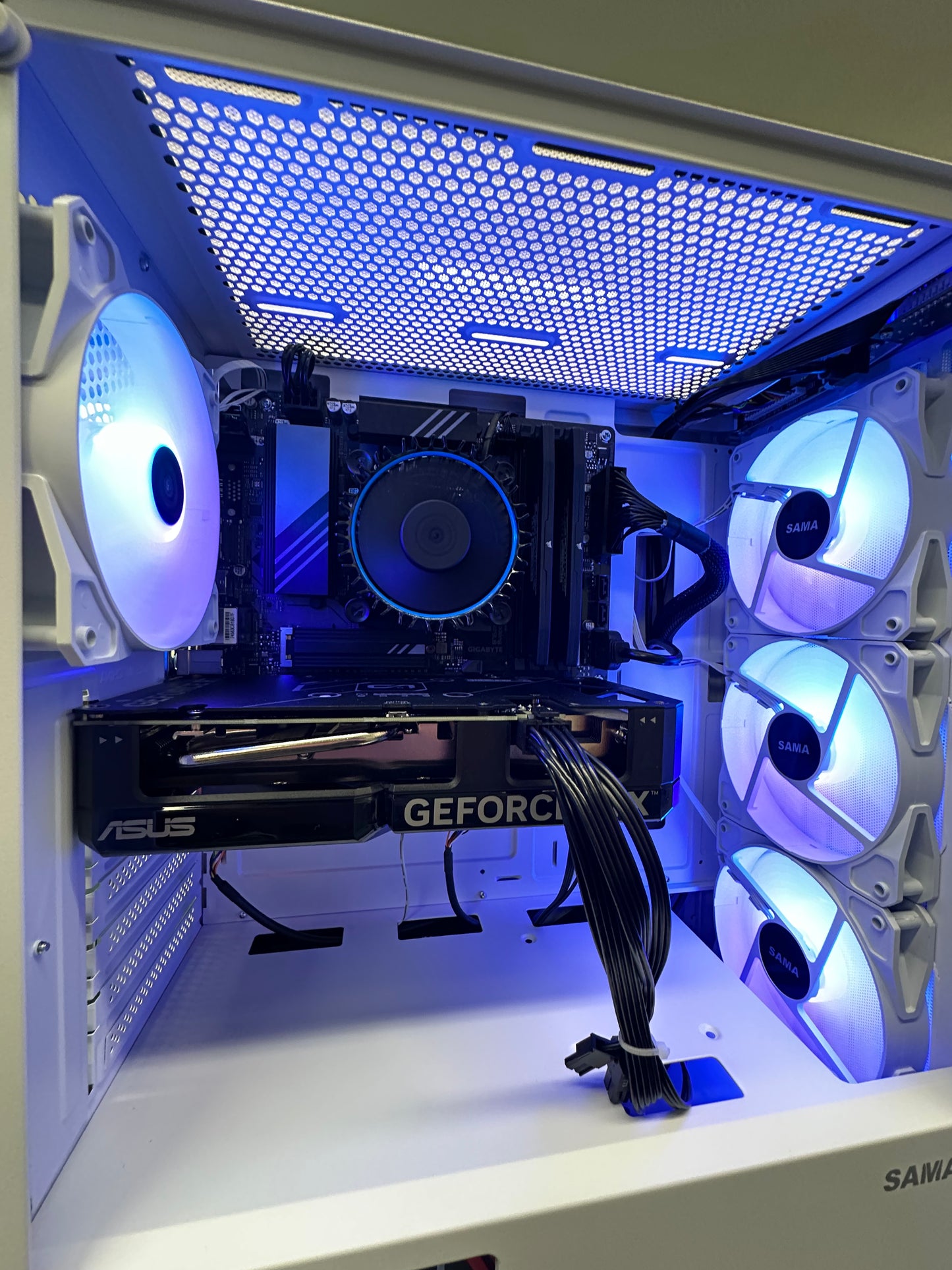 BLIND RAGE Alexandria Customs